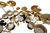 Each set of Sabian Paragon cymbals is handpicked by the head of the Vault team.